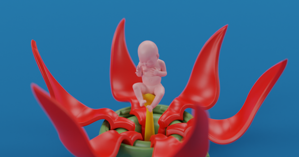 flor vida Señor fabricante descargar gratis stl modelo imprimiblescom 3d modelos Arte diseño esculturas bebé remezclar embarazada 3d print model - Mito3D