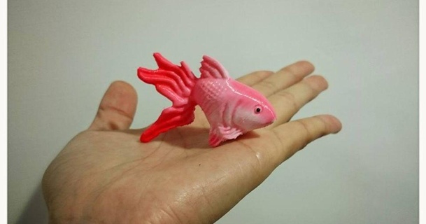 poisson rouge 3dp parc Télécharger libre stl modèle imprimablescom 3d modèles art conception dessins mode jouet 3d print model - Mito3D