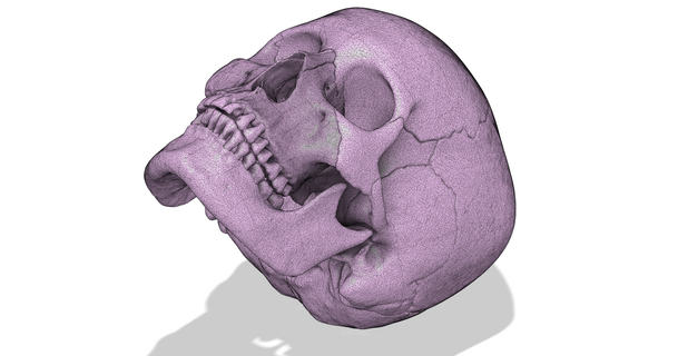 Humain crâne éclaté Mourad Télécharger libre stl modèle imprimablescom 3d modèles apprentissage chimie biologie 3d print model - Mito3D