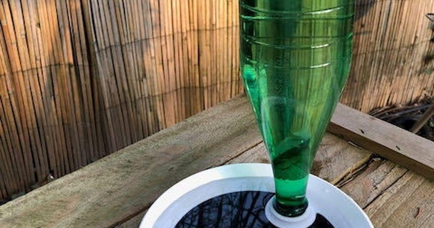 l'eau distributeur baignoire oiseaux Adam Télécharger libre stl modèle imprimablescom 3d modèles Ménage Extérieur jardin oiseau mangeoire bouteille d'eau 3d print model - Mito3D