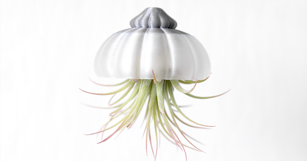 jellyfish air plant tillandsia holder mygeekymuse download free stl model printablescom 3d models household decor hang airplant ocean 3d print model - Mito3D