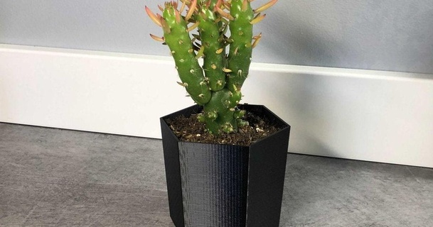 mini-cactus pot dancan13f download free stl model printablescom 3d models household decor cactus 3d print model - Mito3D