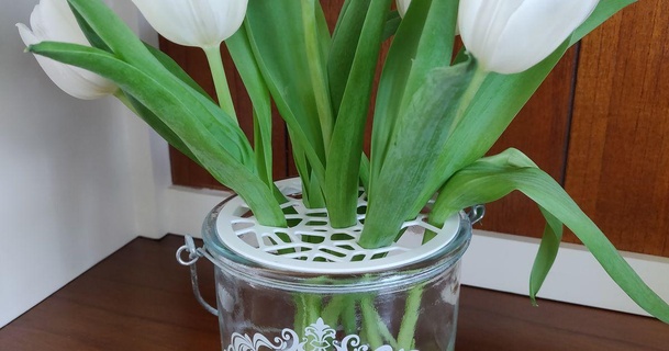 Vonoroi vaso flores tampa Lex baixar livre stl modelo printablescom 3d modelos casa decoração Projeto flor suporte 3d print model - Mito3D