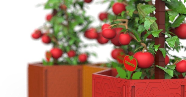 tomato kit riccardo download free stl model printablescom 3d models household outdoor & garden cultivation gardening homegardening 3d print model - Mito3D