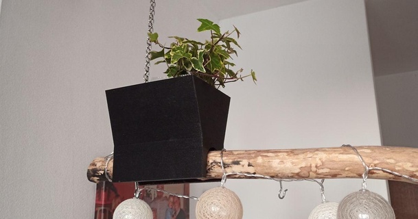 fioriera bastone moedaraz Scarica gratuito stl modello printablescom 3d Modelli domestico arredamento piante d'appartamento lampade legna 3d print model - Mito3D