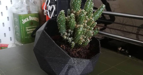 geometrico cactus pentola madzialka Scarica gratuito stl modello printablescom 3d Modelli domestico all'aperto giardino 3d print model - Mito3D