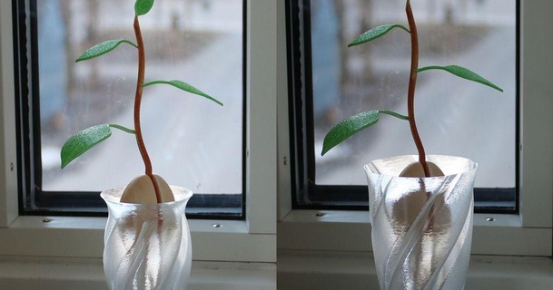 avocado seed vases harald andersson download free stl model printablescom 3d models household outdoor & garden vase 3d print model - Mito3D