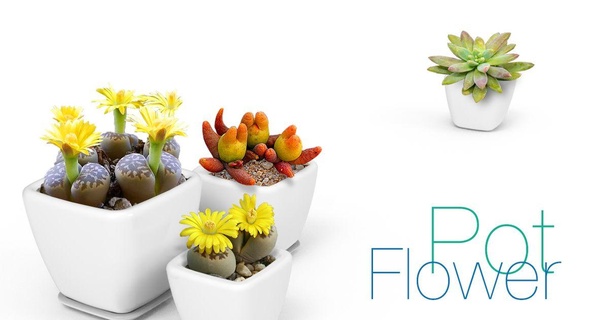 flower pot perinski download free stl model printablescom 3d models household decor flowerpot plantpot 3d print model - Mito3D