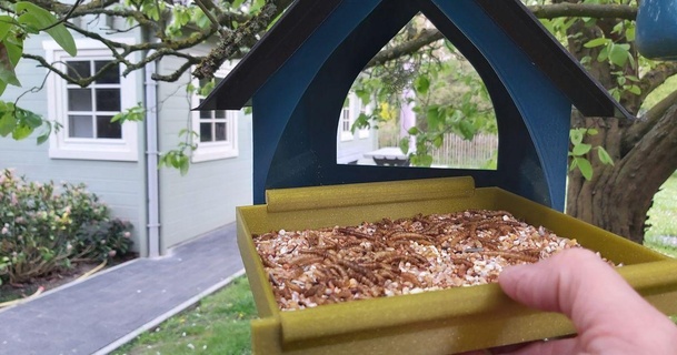 pájaro alimentador retirable cajón colita kooyman descargar gratis stl modelo imprimiblescom 3d modelos casa aire libre jardín 3d print model - Mito3D