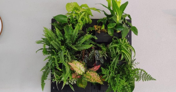 Ikea skadis plante peinture pim Télécharger libre stl modèle imprimablescom 3d modèles Ménage décor panneau perforé planteur pot 3d print model - Mito3D