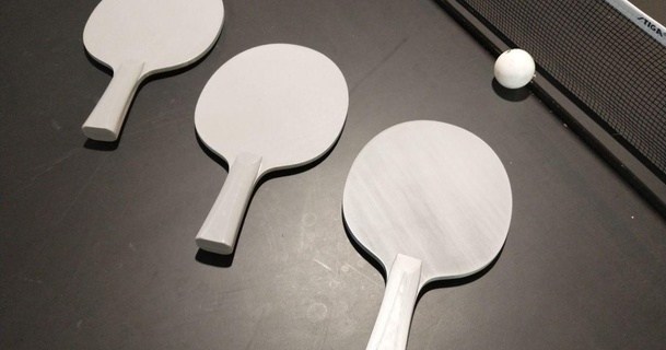 ping pong kürek çekmek Bay beyin indir Bedava stl model printablescom 3d modeller Spor Dalları dış mekan kapalı kıyaslama masa Tenisi test izi 3d print model - Mito3D
