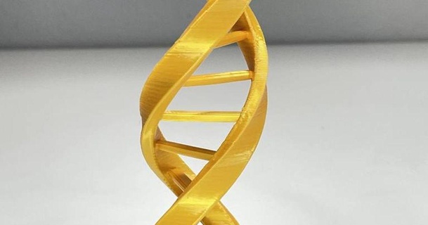 customizable double helix krampster download free stl model printablescom 3d models learning chemistry & biology dna nosupports 3d print model - Mito3D