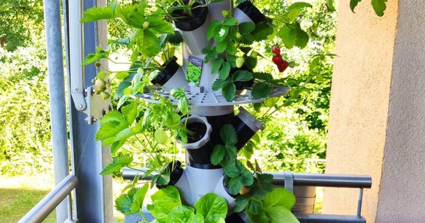 balcon fraise tour Ikea persillade modulaire hydroponique davedude Télécharger libre stl modèle imprimablescom 3d modèles Ménage Extérieur jardin automatique système 3d print model - Mito3D