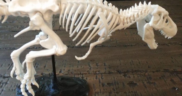 t rex scheletro david Scarica gratuito stl modello printablescom 3d Modelli arte design sculture dinosauro tirannosauro 3d print model - Mito3D