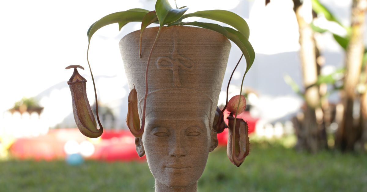 nefertiti bust hollow adafruit download free stl model printablescom 3d models household outdoor & garden 3dscan egypt nofertiti 3D print model - Mito3D