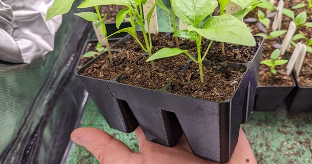 tohum modül hücre tepsi mk2 fiş Alex koğuş indir Bedava stl model printablescom 3d modeller ev halkı dış mekan Bahçe Bahçıvanlık büyümek yiyeceğini yetiştir evde büyüyen 3d print model - Mito3D