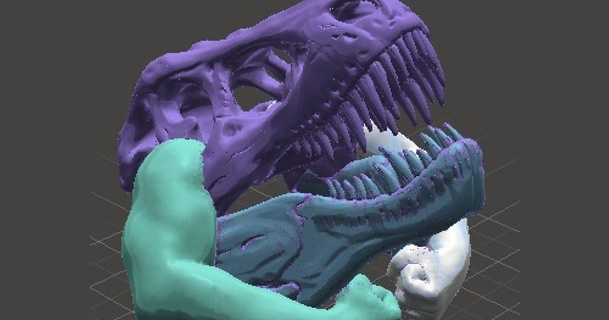Tyrannosaurus esnek zaman tombulcu indir Bedava stl model printablescom 3d modeller Sanat tasarım heykeller biftek dothhouevenhoist Jimnastik jimnastikçi swole 3d print model - Mito3D