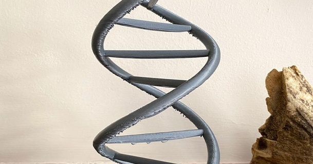 ADN hélix voleur Télécharger libre stl modèle imprimablescom 3d modèles apprentissage chimie biologie 3d print model - Mito3D