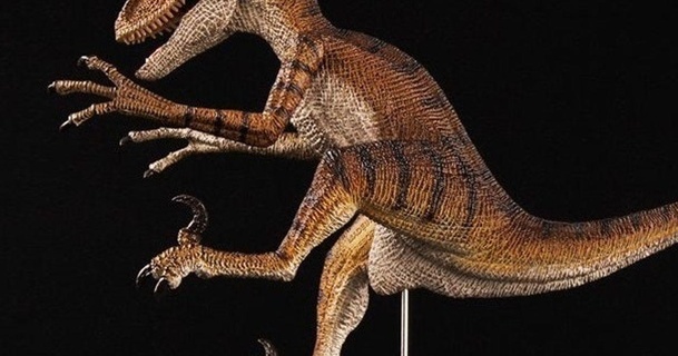 velociraptor rianthemast baixar livre stl modelo printablescom 3d modelos mundo varreduras animais figura ação dinossauro 3d print model - Mito3D