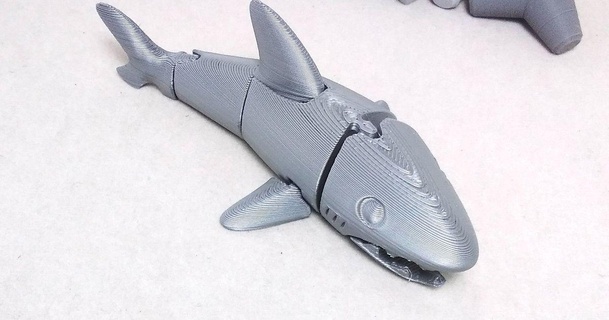 articolato squalo lali3d Scarica gratuito stl modello printablescom 3d Modelli mondo scansioni animali portachiavi incernierato 3d print model - Mito3D