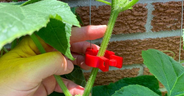 jardinería acortar Heber descargar gratis stl modelo imprimiblescom 3d modelos casa aire libre jardín tomate Pepino 3d print model - Mito3D
