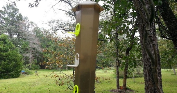 uccello alimentatore tazza howardcshaw Scarica gratuito stl modello printablescom 3d Modelli domestico all'aperto giardino mangiatoia per uccelli openscad 3d print model - Mito3D