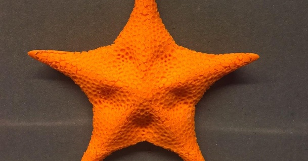 starfish model empiricus download free stl printablescom 3d models art & design sculptures cosplayprop prop 3d print model - Mito3D