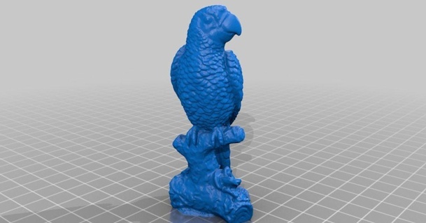 macaw pappagallo 3d scansione openscan Scarica gratuito stl modello printablescom Modelli mondo scansioni 3dscan 3dscanner 3dscanning animale ara 3d print model - Mito3D