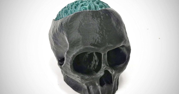 cráneo cerebro caramelo ocultación sitio ncsandor descargar gratis stl modelo imprimiblescom 3d modelos estacional diseños otoño Víspera Santos dulces escondidos escondite 3d print model - Mito3D