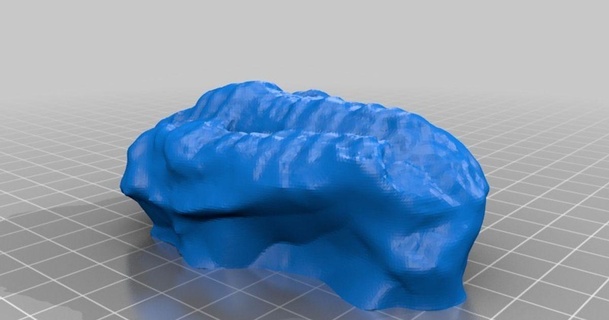 trilobite fossile Joakim Scarica gratuito stl modello printablescom 3d Modelli mondo scansioni 3d print model - Mito3D