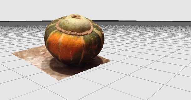 photogrammetry gourd peter farell download free stl model printablescom 3d models world & scans people 3d print model - Mito3D