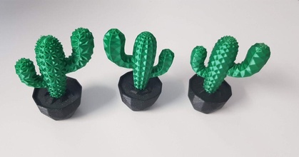 Kaktus Pflanze mmu verloren download frei stl Modell Printablescom 3d Modelle Haushalt Dekor 3d print model - Mito3D