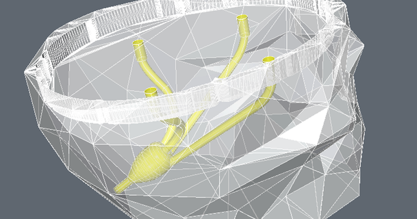 dr beyin kafatası Led yumurta kabuğu indir Bedava stl model printablescom 3d modeller Sanat tasarım heykeller 3dpuzzle anatomi eğlence oyun 3d print model - Mito3D