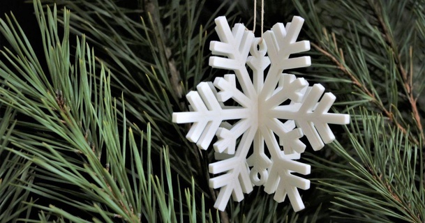 kar tanesi kaaşul indir Bedava stl model printablescom 3d modeller mevsimlik tasarımlar kış Noel yılın süsleri ağacı dekorasyon 3d print model - Mito3D