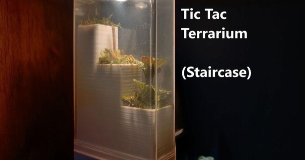 tic tac nano terrarium jq910 download free stl model printablescom 3d models household outdoor & garden case cloche desk ecosystem 3d print model - Mito3D