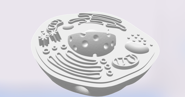 mini animal cell combined model mohanmaker download free stl printablescom 3d models learning chemistry & biology 3d print model - Mito3D