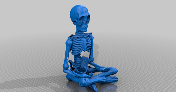 Skelett Modell generiert Revopoint Pop Plakatdrucker download frei stl Printablescom 3d Modelle Lernen Chemie Biologie Bildung Medizin Schädel 3d print model - Mito3D