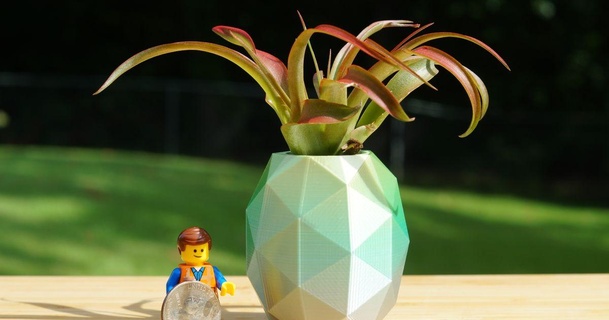pineapple mini air plant vase stldenise download free stl model printablescom 3d models household decor 3d print model - Mito3D