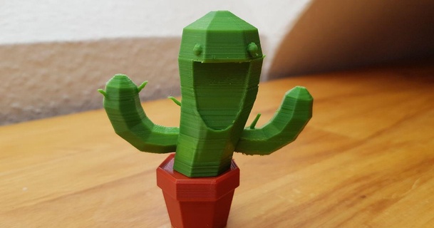 sorridente cactus illia Scarica gratuito stl modello printablescom 3d Modelli arte design sculture contento Sorridi statuetta 3d print model - Mito3D