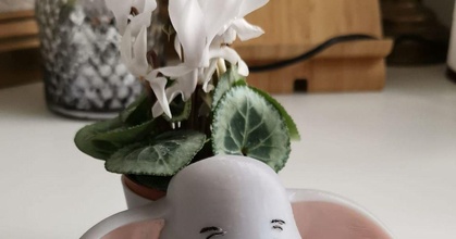 dumbo planteur 65mm éponra Télécharger libre stl modèle imprimablescom 3d modèles Ménage décor disney pot fleurs 3d print model - Mito3D