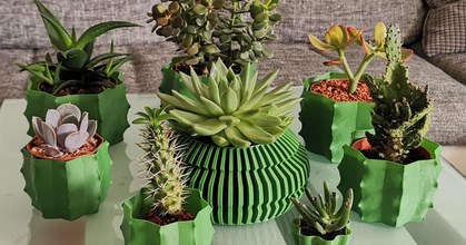 cactus vaso vasemode eponra Scarica gratuito stl modello printablescom 3d Modelli domestico arredamento fioriera fiori pentola 3d print model - Mito3D