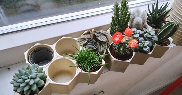 hexagone petit cactus planteur ennuyer Télécharger libre stl modèle imprimablescom 3d modèles Ménage décor jardinière 3d print model - Mito3D