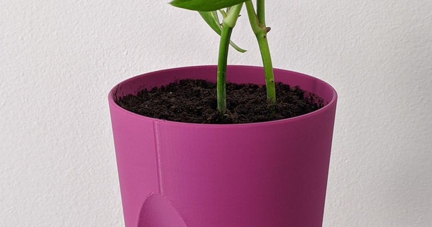 fioriera 01 zampik Scarica gratuito stl modello printablescom 3d Modelli domestico all'aperto giardino vaso fiori auto irrigazione 3d print model - Mito3D