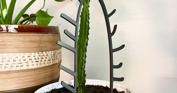 cactus plante soutien 3dway Télécharger libre stl modèle imprimablescom 3d modèles Ménage Extérieur jardin 3d print model - Mito3D