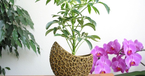 cápsula plantador masemenonasaku baixar livre stl modelo printablescom 3d modelos casa ar jardim vaso flores 3d print model - Mito3D
