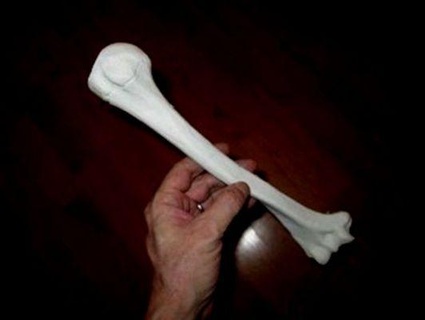 úmero osso redpah 3d print model - Mito3D