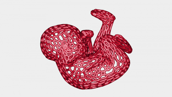 voronoi baby reproduction redpah 3d print model - Mito3D