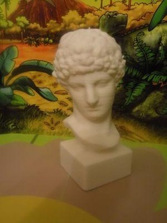 romain buste redpah 3d print model - Mito3D