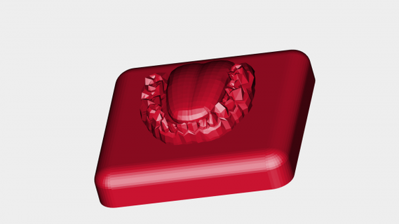 denture box redpah 3d print model - Mito3D