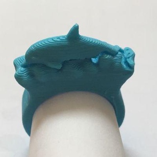 delfín anillo redpah 3d print model - Mito3D